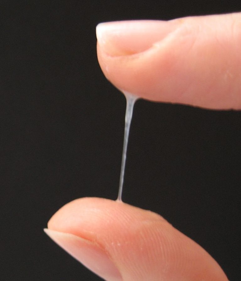 glaire cervicale Sensiplan